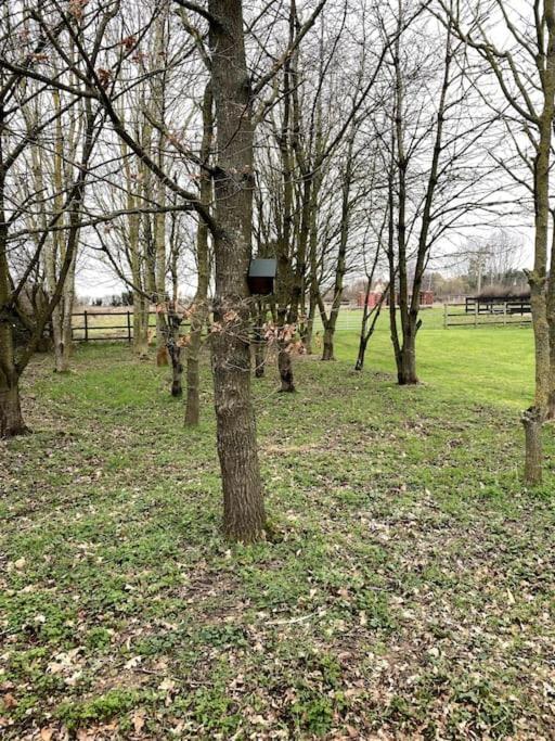 Appartamento The Woodland Wyboston Esterno foto